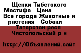 Щенки Тибетского Мастифа › Цена ­ 90 000 - Все города Животные и растения » Собаки   . Татарстан респ.,Чистопольский р-н